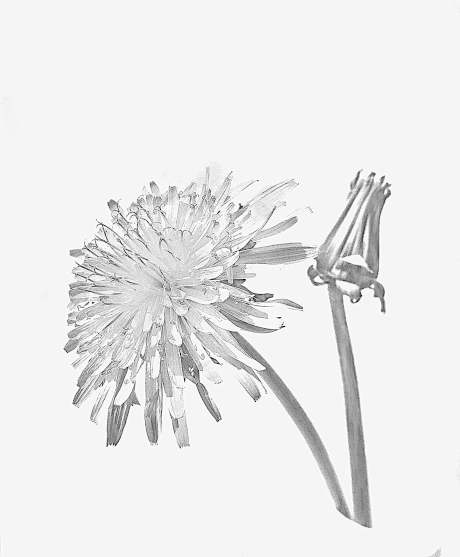 OpenStreetMap Benediktushof