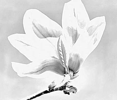 OpenStreetMap Benediktushof