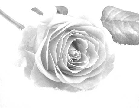 OpenStreetMap Benediktushof