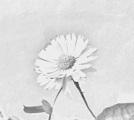 OpenStreetMap Benediktushof